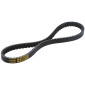 BELT FOR MAXISCOOTER MALOSSI X KEVLAR BELT FOR KYMCO 125 DOWNTOWN 2009>, 125 K-XCT 2012>, 125 PEOPLE GTI 2010> (884 x 20,7 x 9,7 x 32°) (6115275) 3700948137215