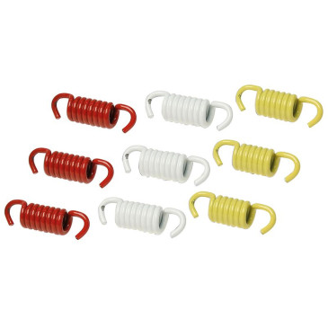 RESSORT EMBRAYAGE MAXISCOOTER MALOSSI POUR ORIGINE PIAGGIO 125-250-300 X-EVO, X7, X8, X9, MP3, LIBERTY, VESPA GTS, ZIP, FLY / APRILIA 125 ATLANTIC, SCARABEO (JEU) (2911326) -RACING- 3700948133774