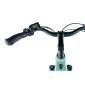 VELO ELECTRIQUE/VAE VTC 29 LEADER FOX TERTIUM 2025 FEMME VERT CLAIR 8V SHIMANO NEXUS MOTEUR CENTRAL BAFANG M420 36V 80Nm BATTERIE 17,5Ah (16,5'' - H43cm - TAILLE S - POUR ADULTE DE 158cm à 168cm)