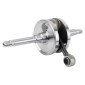 EMBIELLAGE/VILEBREQUIN CYCLO ADAPTABLE PEUGEOT FOX (VENDU A L'UNITE) -P2R- 3700948305027