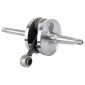 EMBIELLAGE/VILEBREQUIN CYCLO ADAPTABLE PEUGEOT FOX (VENDU A L'UNITE) -P2R- 3700948305027