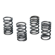 RESSORT EMBRAYAGE 50 A BOITE MALOSSI POUR MINARELLI 50 AM6/MBK 50 X-POWER, X-LIMIT/YAMAHA 50 TZR, DTR/PEUGEOT 50 XPS, XR6/RIEJU 50 RS1, SMX/BETA 50 RR/APRILIA 50 RS (RENFORCE) (x4) 3700948132630