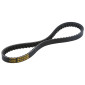 COURROIE MAXISCOOTER MALOSSI X KEVLAR BELT POUR PIAGGIO 125 MP3, 125 X-EVO, 125 X7, 125 X8, 125 X9, 125 VESPA GTS/GILERA 125 NEXUS/APRILIA 125 SR MAX (814 x 22,5 x 10,5 x 30°) (6116117) 3700948136096