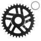 PLATEAU VAE/E-BIKE DIRECT MOUNT POUR BOSCH ESJOT 34DTS MONO NOIR ACIER (3ème GENERATION) 4251516566627