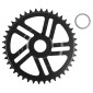 PLATEAU VAE/E-BIKE DIRECT MOUNT POUR BOSCH ESJOT 42D TS MONO NOIR ACIER (4ème GENERATION) 4251516565576