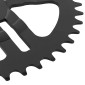 PLATEAU VAE/E-BIKE DIRECT MOUNT POUR BOSCH ESJOT 44DTS MONO NOIR ACIER (4ème GENERATION) 4251516565583