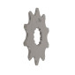 PIGNON COMPATIBLE PANASONIC E-DRIVE ESJOT 10DTS 4251516500737