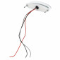 TAIL LIGHT UNIVERSAL REPLAY -WITH LEDS- SPACE TRANSPARENT 19 LEDS RED (2 FUNCTIONS : STOP LAMP + PARKING LIGHT) (107x29mm) (APPROVED) 3700948035221