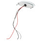 TAIL LIGHT UNIVERSAL REPLAY -WITH LEDS- OVAL SHAPED TRANSPARENT WITH STOP LAMP (16 RED LEDS /3 CLEAR LEDS) ** 3700948035245