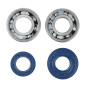 CRANKSHAFT FOR SCOOT MBK 50 BOOSTER/STUNT/YAMAHA 50 BWS/SLIDER (WITH BEARINGS + GASKETS) - TOP PERF ORIGINAL TYPE- 3700948161029