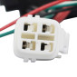 BATTERIE POLINI EP3 / EP3+ EVO 500Wh 36V 13.8Ah 497Wh ref 955.830.030/A 3700948292655