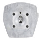 CULASSE CYCLO ADAPTABLE PEUGEOT 50 103, TSE (POLYGONAL AVEC DECOMPRESSEUR) -SELECTION P2R- 3700948243657