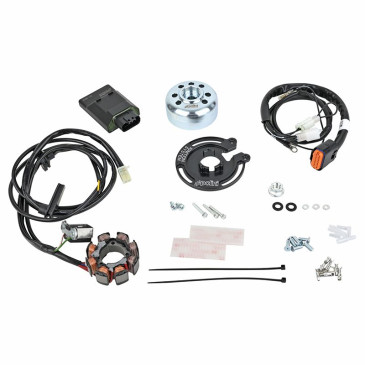 ALLUMAGE 50 A BOITE POLINI DIGITAL FOR RACE AVEC ECLAIRAGE POUR MINARELLI 50 AM6/DERBI 50 SENDA, GPR (171.0572) 8054705128455