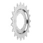 PIGNON NEXUS SHIMANO 19D. (MONTAGE ATELIER) 3700948303702