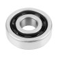 ROULEMENT D'EMBIELLAGE 6303 (17 x 47 x 14 mm) TPI POLYAMIDE C4 ADAPTABLE MINARELLI 50 AM6/MBK 50 X-POWER, X-LIMIT/YAMAHA 50 TZR, DTR, TZR/BETA 50 RR/PEUGEOT 50 XPS/APRILIA 50 RS/RIEJU 50 RS1 (L'UNITE) 3701213436323