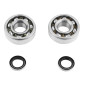 ROULEMENT D'EMBIELLAGE + JOINT CYCLO P2R ADAPTABLE MBK 51, 41, 40, 88, CLUB (KIT TPI 6302 QR ACIER) 3701213410088