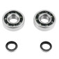 ROULEMENT D'EMBIELLAGE + JOINT CYCLO P2R ADAPTABLE MBK 51, 41, 40, 88, CLUB (KIT TPI 6302 QR POLYAMIDE) 3701213410132