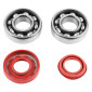 ROULEMENT D'EMBIELLAGE + JOINT SCOOT P2R ADAPTABLE MBK 50 BOOSTER, NITRO/YAMAHA 50 BWS, AEROX/APRILIA 50 SR/CPI 50 ARAGON/GENERIC 50 IDEO/KEEWAY 50 FOCUS (KIT 6204 FAG ACIER C3/JOINT RACING ROUGE) 3701213409525