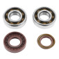 BEARING FOR CRANKSHAFT+SEALS FOR SCOOT P2R RACING POUR MBK 50 BOOSTER, NITRO/YAMAHA 50 BWS, AEROX/APRILIA 50 SR/CPI 50 ARAGON/GENERIC 50 IDEO/KEEWAY 50 FOCUS (KIT 6204 SKF POLYAMID CASE C4/+ VITON SEALS) 3701213416172
