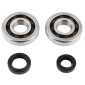 BEARING FOR CRANKSHAFT+SEALS FOR SCOOT P2R FOR PEUGEOT 50 TKR, TREKKER, SPEEDFIGHT, VIVACITY, BUXY, SQUAB, ZENITH, ELYSEO (KIT SC04A47CS TPI POLYAMID CASE) 3701213410484