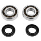 ROULEMENT D'EMBIELLAGE + JOINT 50 A BOITE P2R ADAPTABLE DERBI 50 SENDA, GPR/GILERA 50 SMT, RCR (MOTEUR EURO 2 + EURO 3) (KIT 6204 TPI POLYAMIDE C4/JOINT NITRILE) 3701213416189