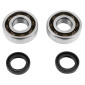 ROULEMENT D'EMBIELLAGE + JOINT SCOOT P2R ADAPTABLE PEUGEOT 50 LUDIX, SPEEDFIGHT 3, JET FORCE, KISBEE/DJANGO, CITYSTAR 2T (KIT 6204 TPI POLYAMIDE C4/JOINT NITRILE) 3701213416202