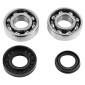BEARING FOR CRANKSHAFT+SEALS FOR SCOOT P2R FOR MBK 50 BOOSTER, NITRO/YAMAHA 50 BWS, AEROX/APRILIA 50 SR/CPI 50 ARAGON/GENERIC 50 IDEO/KEEWAY 50 FOCUS (KIT 6204 FDM STEEL C3/NITRILE SEAL) 3701213409501