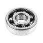 ROULEMENT D'EMBIELLAGE 6303 (17x47x14) FAG TVH C3 CAGE POLYAMIDE ADAPTABLE MINARELLI 50 AM6/MBK 50 X-POWER, X-LIMIT/YAMAHA 50 TZR, DTR, TZR/BETA 50 RR/PEUGEOT 50 XPS (VENDU A L'UNITE) 4012801562652