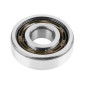 ROULEMENT D'EMBIELLAGE 6303 (17x47x14) FAG TVH C3 CAGE POLYAMIDE ADAPTABLE MINARELLI 50 AM6/MBK 50 X-POWER, X-LIMIT/YAMAHA 50 TZR, DTR, TZR/BETA 50 RR/PEUGEOT 50 XPS (VENDU A L'UNITE) 4012801562652