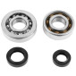 BEARING FOR CRANKSHAFT+SEALS FOR SCOOT P2R FOR PEUGEOT 50 TKR, TREKKER, SPEEDFIGHT, VIVACITY (WITH DELLORTO PUMP) (KIT SKF SC04A47CS+ 6204 POLYAMID C4) 3701213410330