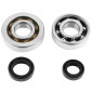 ROULEMENT D'EMBIELLAGE + JOINT SCOOT P2R ADAPTABLE PEUGEOT 50 SPEEDFIGHT 2, TKR, TREKKER (AVEC POMPE DELLORTO) (KIT SKF SC04A47CS+ 6204 POLYAMIDE C4/JOINT NITRILE) 3701213410330