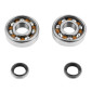 ROULEMENT D'EMBIELLAGE + JOINT CYCLO P2R ADAPTABLE MBK 51, 41, 40, 88, CLUB (KIT SKF 6302 QR ACIER) 3701213410415