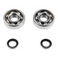 BEARING FOR CRANKSHAFT+SEALS FOR MOPED P2R FOR MBK 51, 41, 40, 88, CLUB (KIT SKF 6302 QR STEEL) 3701213410415