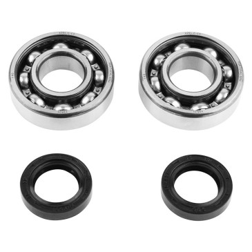 ROULEMENT D'EMBIELLAGE + JOINT SCOOT P2R ADAPTABLE PEUGEOT 50 LUDIX, SPEEDFIGHT 3, JET FORCE, KISBEE/DJANGO, CITYSTAR 2T (KIT 6204 FAG ACIER C3/JOINT NITRILE) 3701213409860