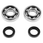 ROULEMENT D'EMBIELLAGE + JOINT SCOOT P2R ADAPTABLE PEUGEOT 50 LUDIX, SPEEDFIGHT 3, JET FORCE, KISBEE/DJANGO, CITYSTAR 2T (KIT 6204 FAG ACIER C3/JOINT NITRILE) 3701213409860