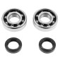 ROULEMENT D'EMBIELLAGE + JOINT SCOOT P2R ADAPTABLE PEUGEOT 50 LUDIX, SPEEDFIGHT 3, JET FORCE, KISBEE/DJANGO, CITYSTAR 2T (KIT 6204 SKF POLYAMIDE C4/JOINT NITRILE) 3701213410477