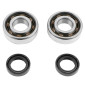ROULEMENT D'EMBIELLAGE + JOINT SCOOT P2R ADAPTABLE PEUGEOT 50 LUDIX, SPEEDFIGHT 3, JET FORCE, KISBEE/DJANGO, CITYSTAR 2T (KIT 6204 SKF POLYAMIDE C4/JOINT NITRILE) 3701213410477