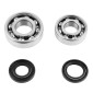 BEARING FOR CRANKSHAFT+SEALS FOR MOPED P2R FOR PEUGEOT 103 (KIT 6204+6203 SKF STEEL C4/ NITRILE SEALS) 3701213410354
