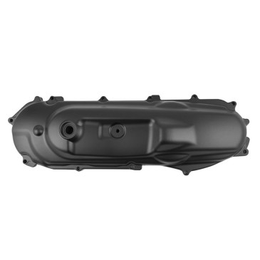 CARTER DE VARIATION/TRANSMISSION SCOOT ADAPTABLE MBK 50 BOOSTER, ROCKET, NG, STUNT/YAMAHA 50 BWS, SLIDER, SPY, BUMP NOIR MAT -P2R- 3700948269343