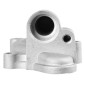CARTER/COUVERCLE/CORPS POMPE A EAU 50 A BOITE POUR MINARELLI 50 AM6 GRIS ALU -P2R- 3700948305935