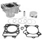 CYLINDRE MAXISCOOTER ADAPTABLE HONDA 350 FORZA 2021>, 350 SH 2021> (DIAM 77 mm) QUALITE OEM -MAGNETI MARELLI- 8050947980530