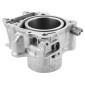 CYLINDRE MAXISCOOTER ADAPTABLE HONDA 350 FORZA 2021>, 350 SH 2021> (DIAM 77 mm) QUALITE OEM -MAGNETI MARELLI- 8050947980530