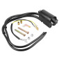 BOBINE ALLUMAGE MOTO ADAPTABLE YAMAHA 500 TMAX 2001>2011, 530 TMAX 2012>2019 (12V) -MAGNETI MARELLI- 8050947993400