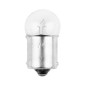 AMPOULE/LAMPE STANDARD 12V 10W CULOT BA15s BULB G18,5 GRAISSEUR TRANSPARENT (CLIGNOTANT) (BOITE DE 10) -P2R- 3667385002882