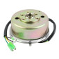 ALLUMAGE CYCLO ELECTRONIQUE ADAPTABLE MBK 51 (AV10) 12V TYPE MORIYAMA -P2R- 3700948305331