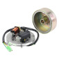ALLUMAGE CYCLO ELECTRONIQUE ADAPTABLE MBK 51 (AV10) 12V TYPE MORIYAMA -P2R- 3700948305331