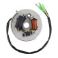 ALLUMAGE CYCLO ELECTRONIQUE ADAPTABLE MBK 51 (AV10) 12V TYPE MORIYAMA -P2R- 3700948305331