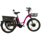 TRICYCLE ELECTRIQUE/VAE CITY LEADER FOX 24" CURTIS 2025 X MIXTE BORDEAUX 8V SHIMANO NEXUS MOTEUR ROUE AV BAFANG 36V 45Nm BATTERIE 16,7Ah (LARGEUR HORS TOUT 75cm, DEBATTEMENT 50mm) -HOUSSE ANTI PLUIE- 8592826110732