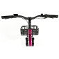TRICYCLE ELECTRIQUE/VAE CITY LEADER FOX 24" CURTIS 2025 X MIXTE BORDEAUX 8V SHIMANO NEXUS MOTEUR ROUE AV BAFANG 36V 45Nm BATTERIE 16,7Ah (LARGEUR HORS TOUT 75cm, DEBATTEMENT 50mm) -HOUSSE ANTI PLUIE- 8592826110732