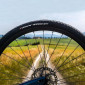 PNEU GRAVEL 700 X 35 VITTORIA TERRENO DRY NOIR TR (38-622) (OFFRE SPECIALE) 3667385003322